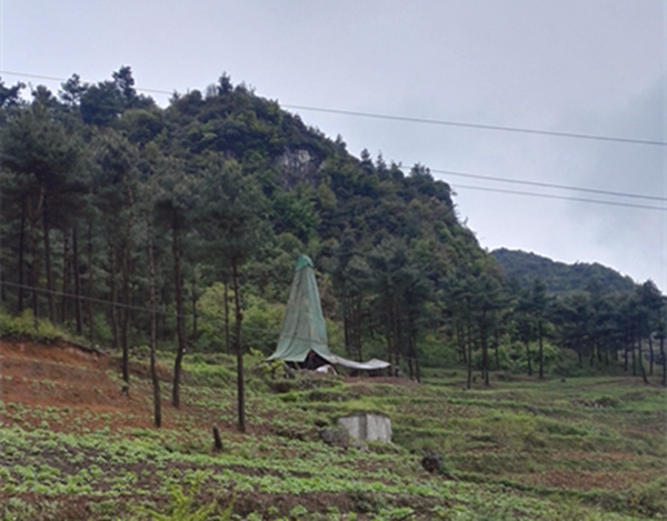 把脈“黔”鋅地，問診開良方